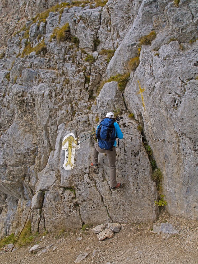 Heukuppe (262 Bildaufrufe)