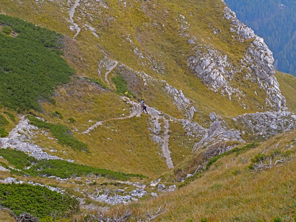 Heukuppe (247 Bildaufrufe)