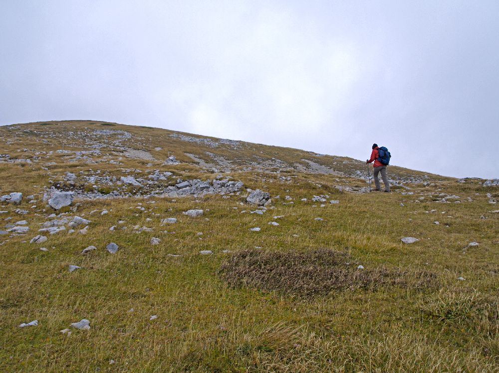 Heukuppe (264 Bildaufrufe)