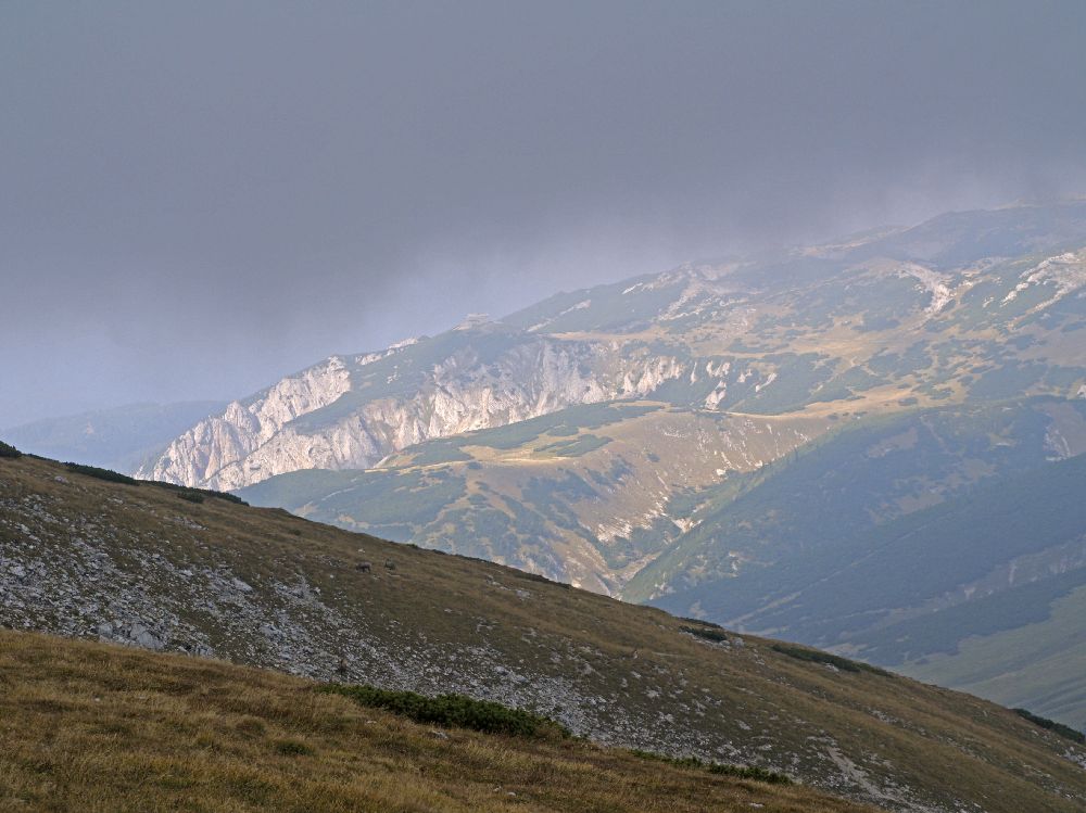 Heukuppe (302 Bildaufrufe)
