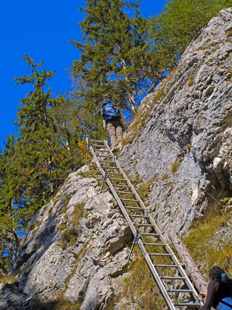 Traunstein (449 Bildaufrufe)