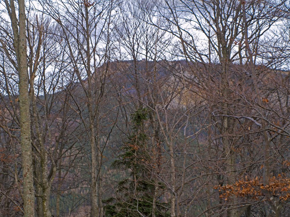 Rotenstein (234 Bildaufrufe)