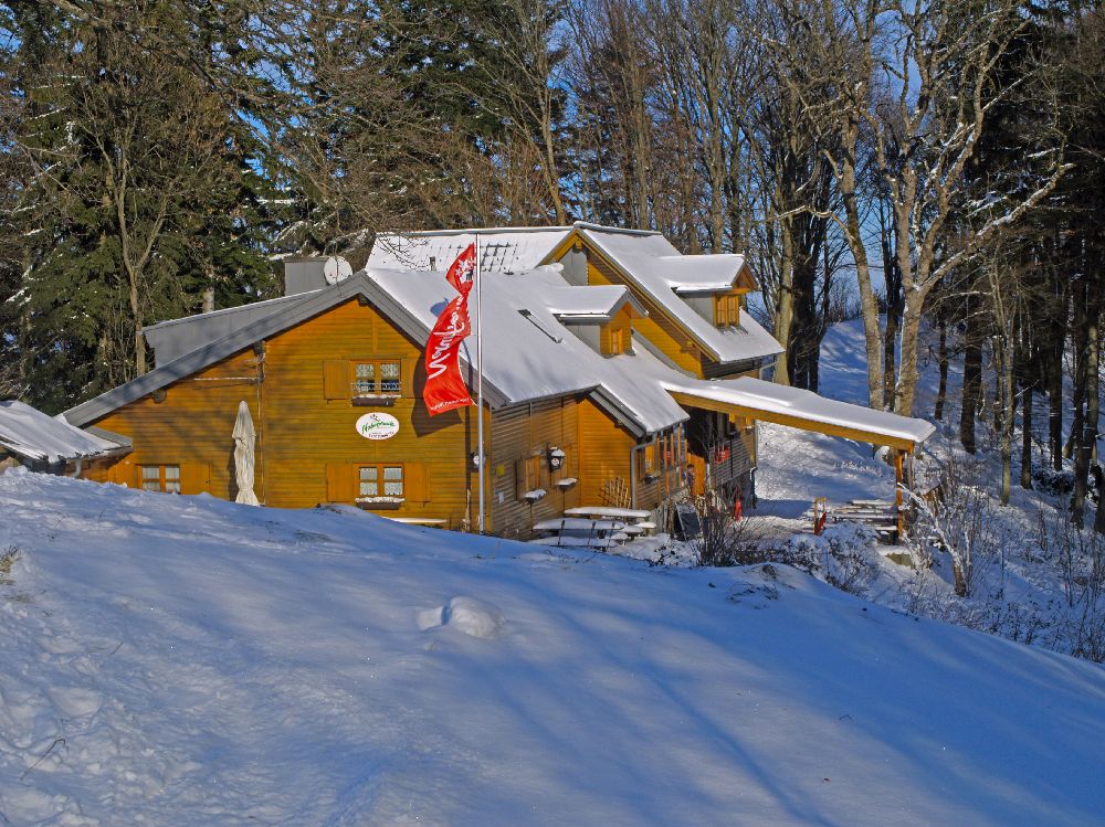 Steinwandleiten (253 Bildaufrufe)