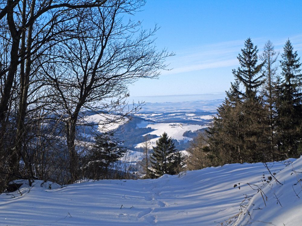 Steinwandleiten (219 Bildaufrufe)