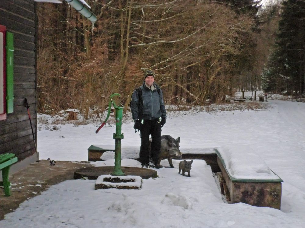 Im Hochholz (259 Bildaufrufe)
