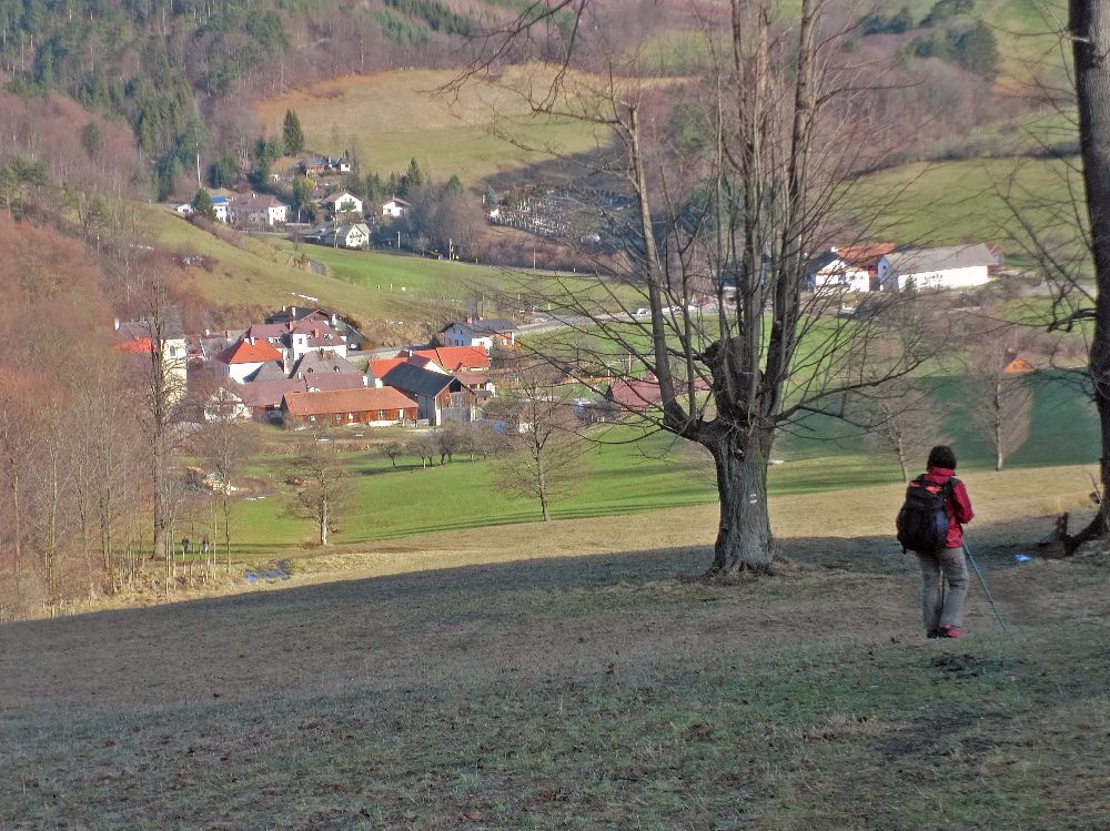 Gaisstein (238 Bildaufrufe)