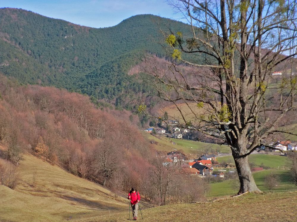 Gaisstein (229 Bildaufrufe)