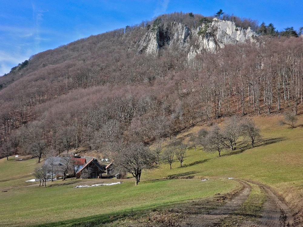 Gaisstein (249 Bildaufrufe)