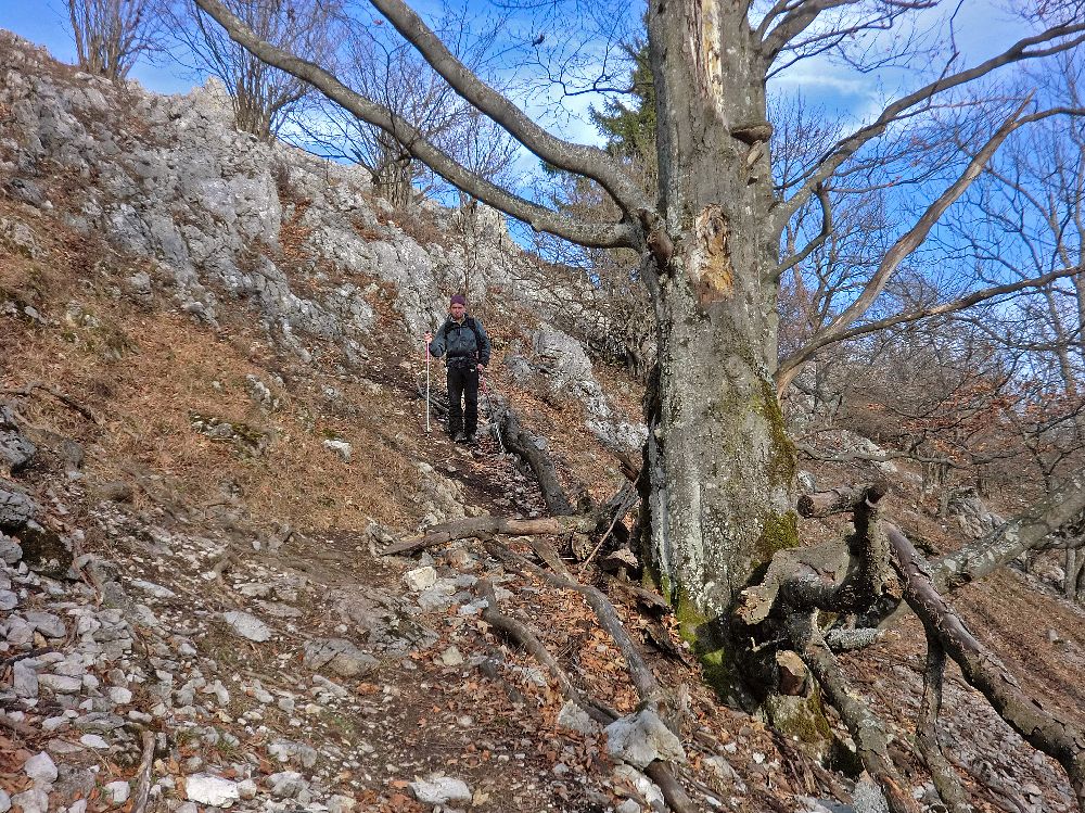 Gaisstein (238 Bildaufrufe)