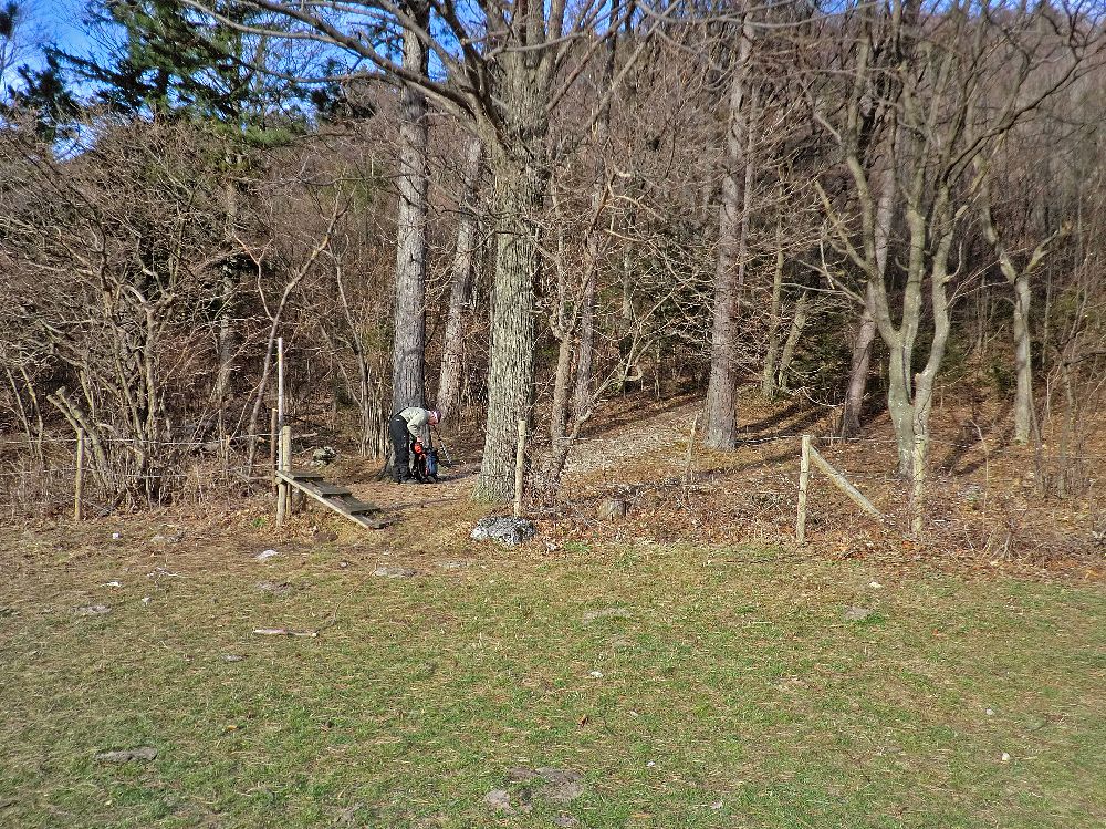 Gaisstein (241 Bildaufrufe)