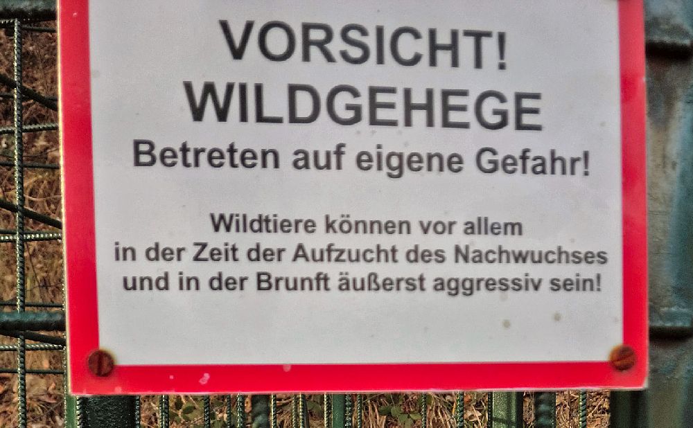 Gaisstein (243 Bildaufrufe)