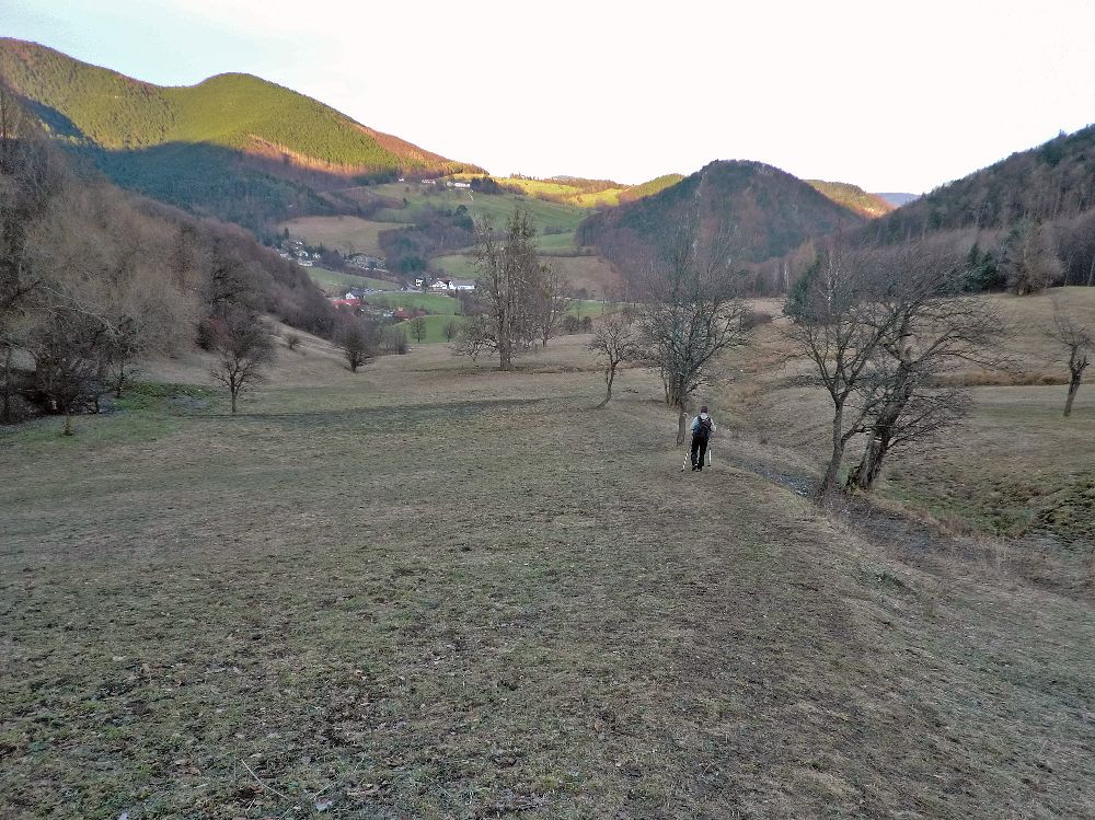 Gaisstein (234 Bildaufrufe)