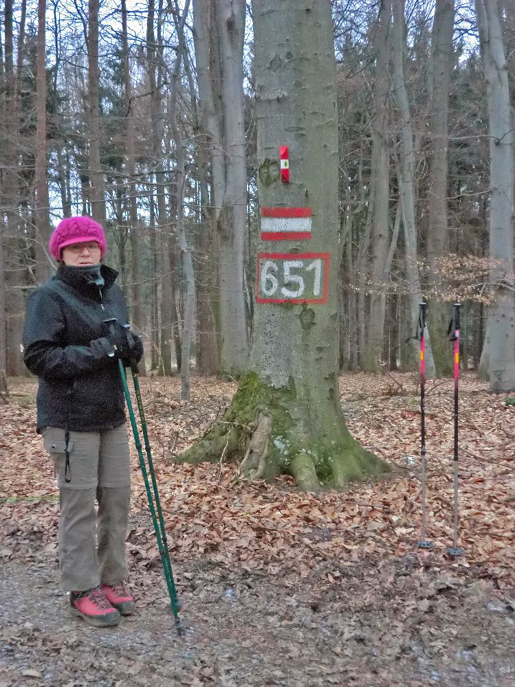 Edlitzberg (263 Bildaufrufe)
