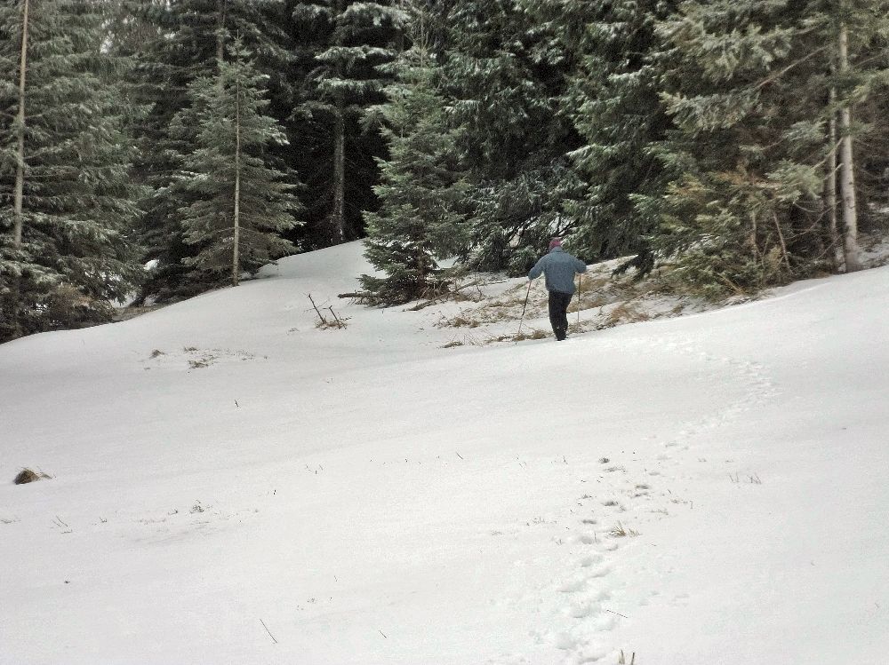 Reisalpe (218 Bildaufrufe)