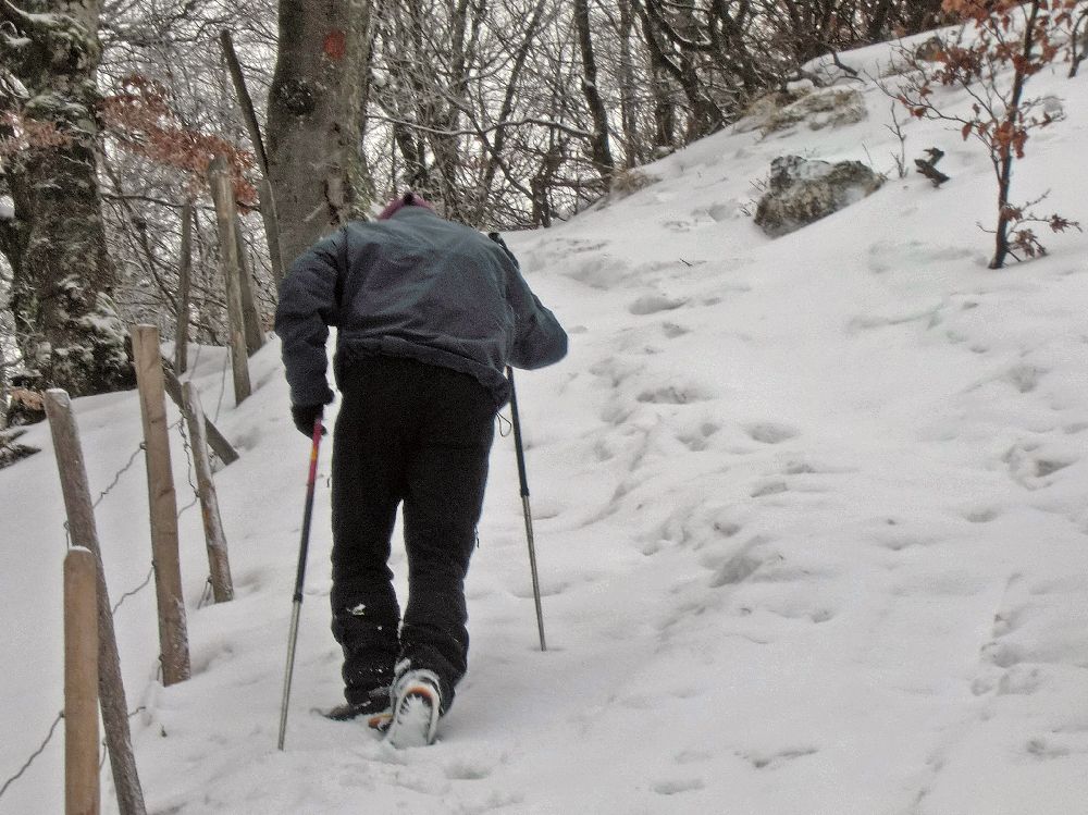 Reisalpe (218 Bildaufrufe)