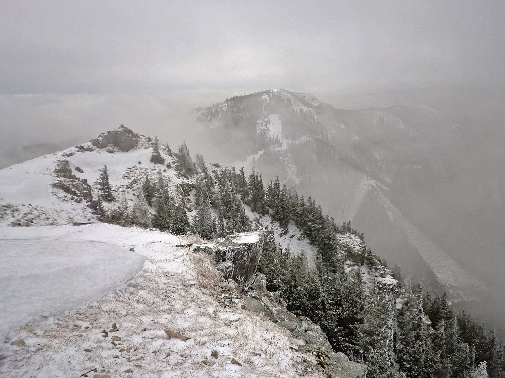Reisalpe (213 Bildaufrufe)