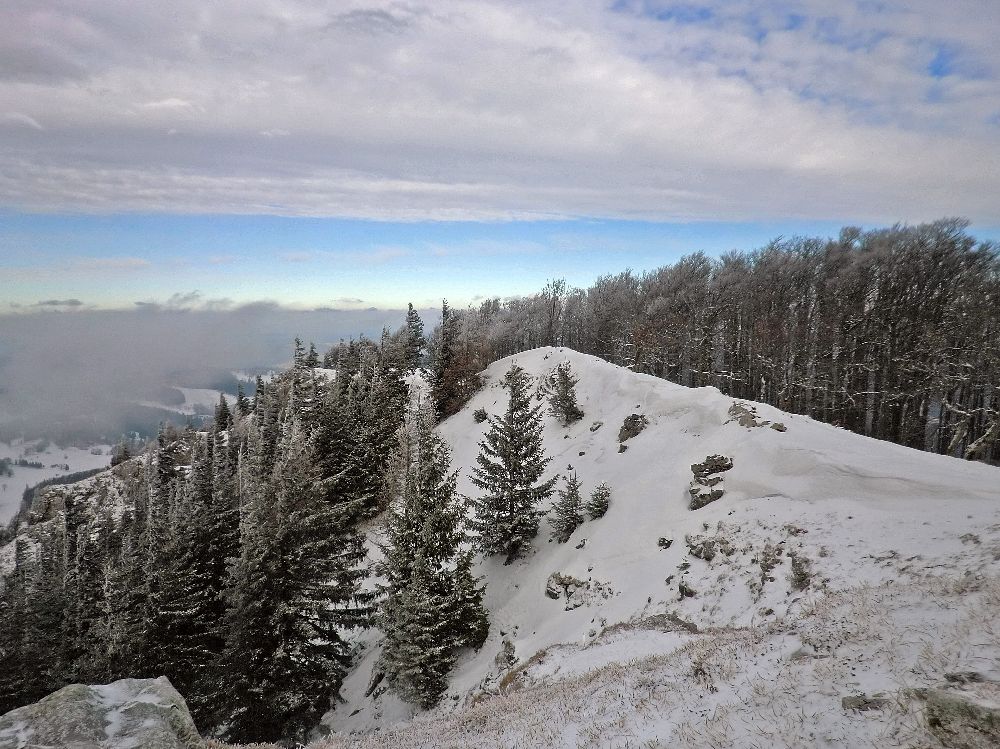 Reisalpe (251 Bildaufrufe)