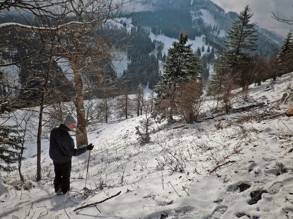 Reisalpe (251 Bildaufrufe)