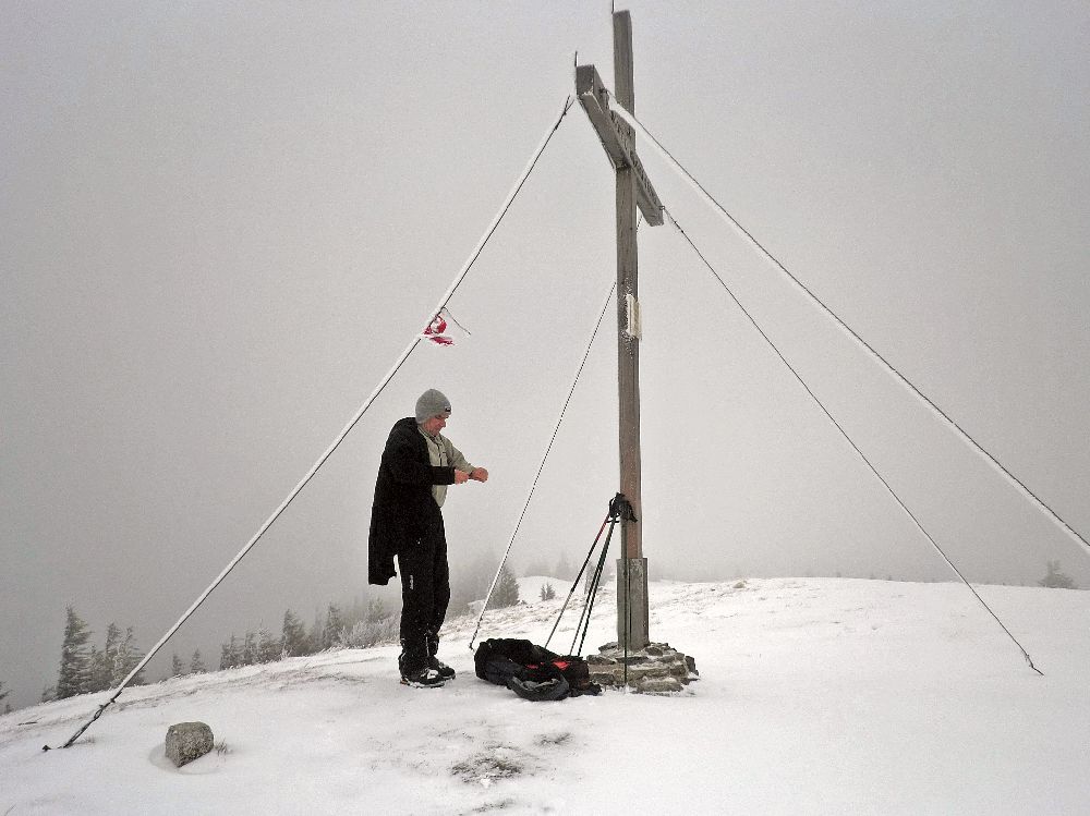 Reisalpe (221 Bildaufrufe)