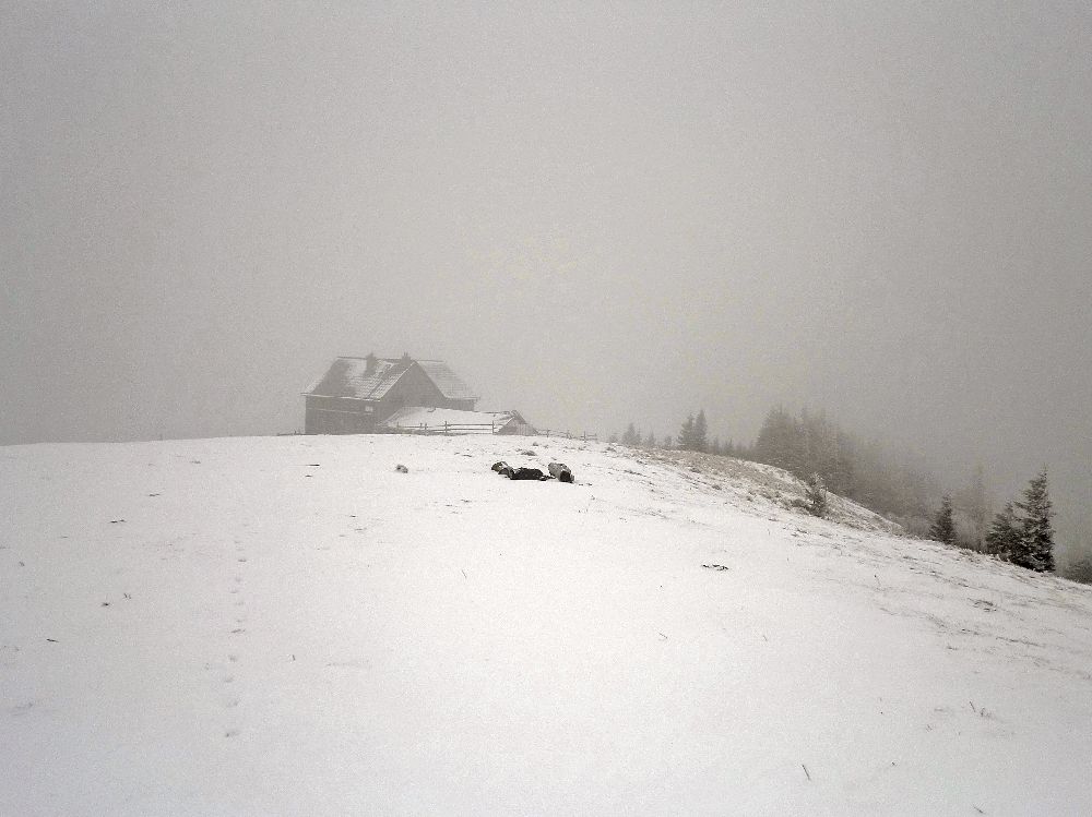 Reisalpe (226 Bildaufrufe)