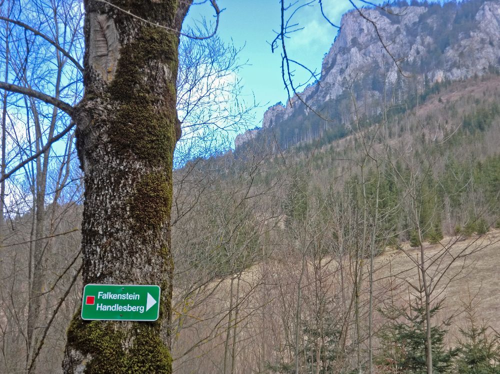 Handlesberg (186 Bildaufrufe)