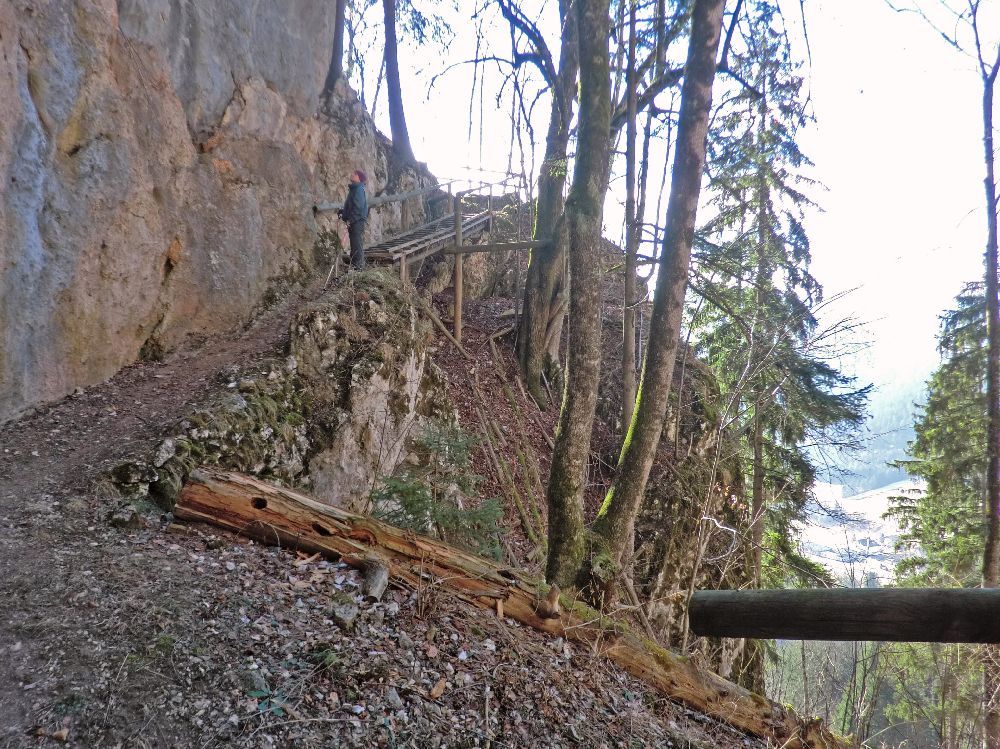 Handlesberg (259 Bildaufrufe)