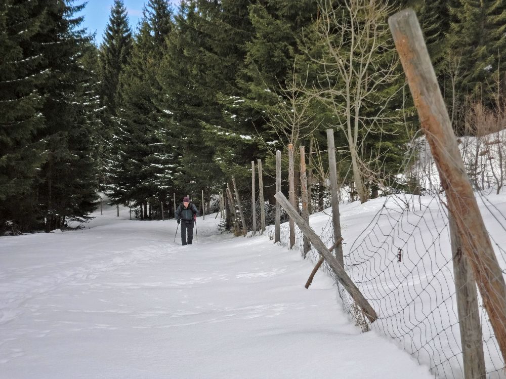 Handlesberg (206 Bildaufrufe)