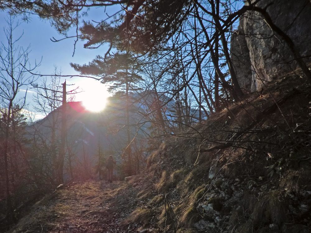 Handlesberg (250 Bildaufrufe)