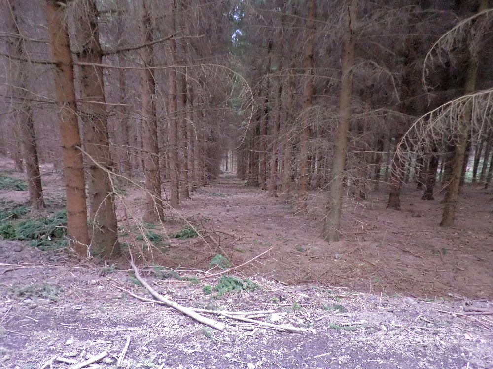 Graßberg (233 Bildaufrufe)