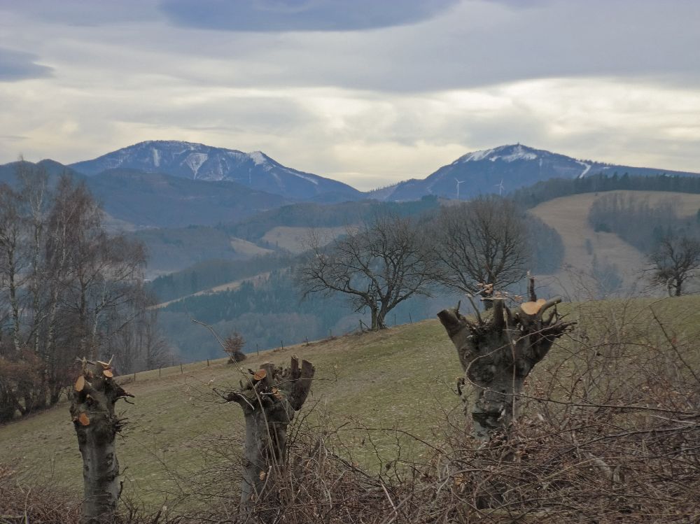 Graßberg (232 Bildaufrufe)