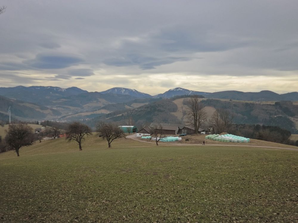 Graßberg (217 Bildaufrufe)
