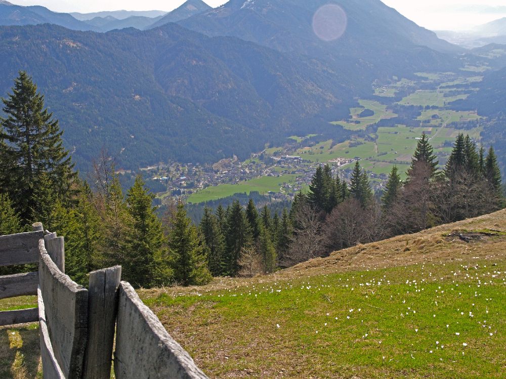 Sattelnock (237 Bildaufrufe)
