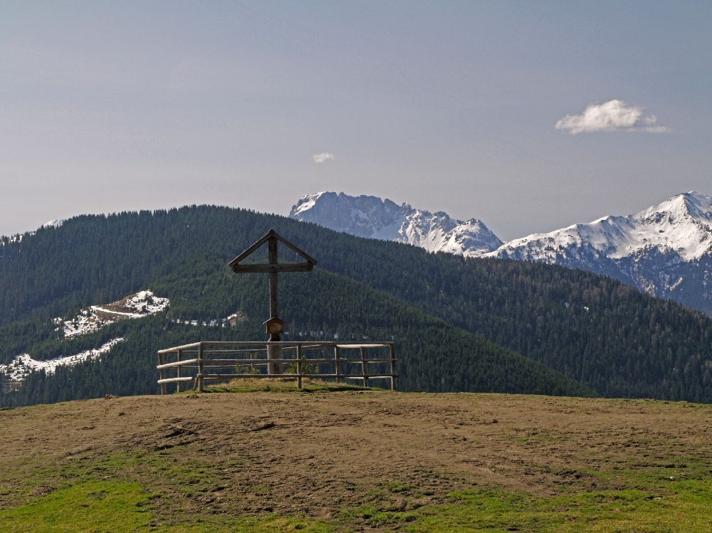 Sattelnock (203 Bildaufrufe)