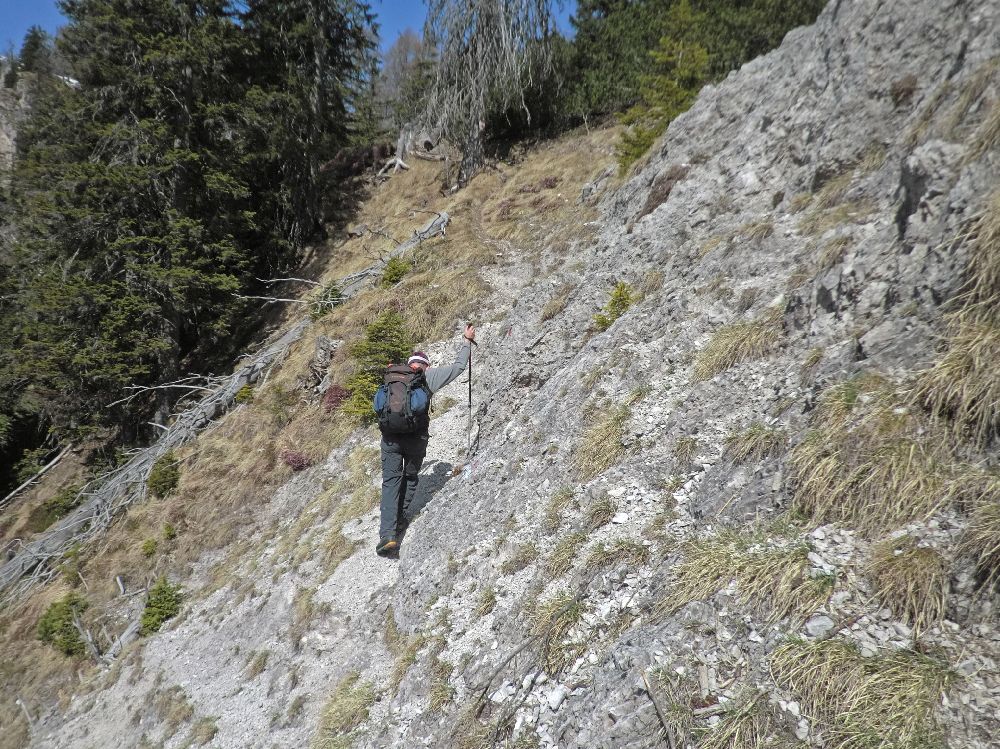 Sattelnock (203 Bildaufrufe)