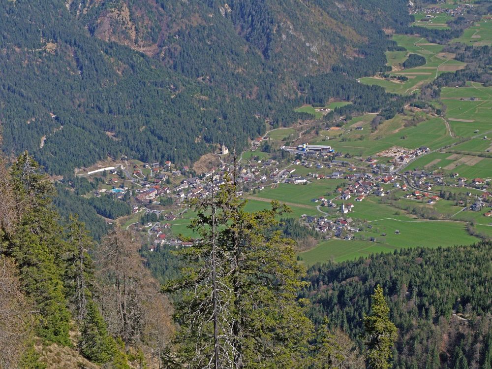 Sattelnock (190 Bildaufrufe)