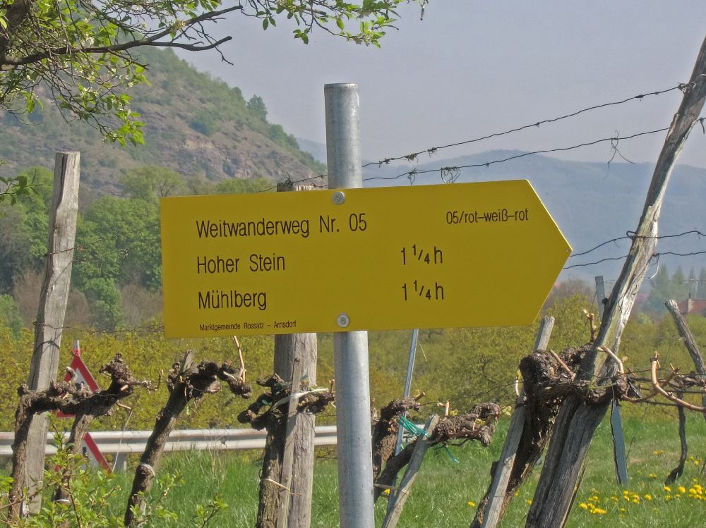 Mühlberg (297 Bildaufrufe)