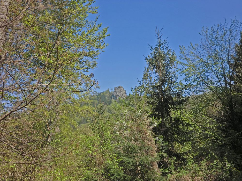 Mühlberg (262 Bildaufrufe)