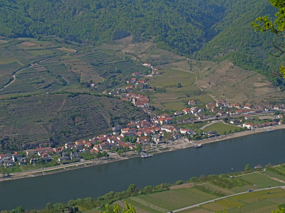 Mühlberg (325 Bildaufrufe)