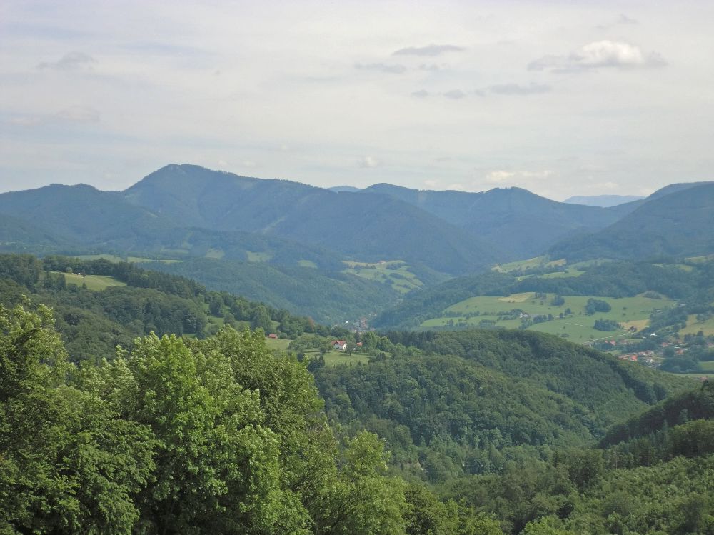 Stierberg (265 Bildaufrufe)