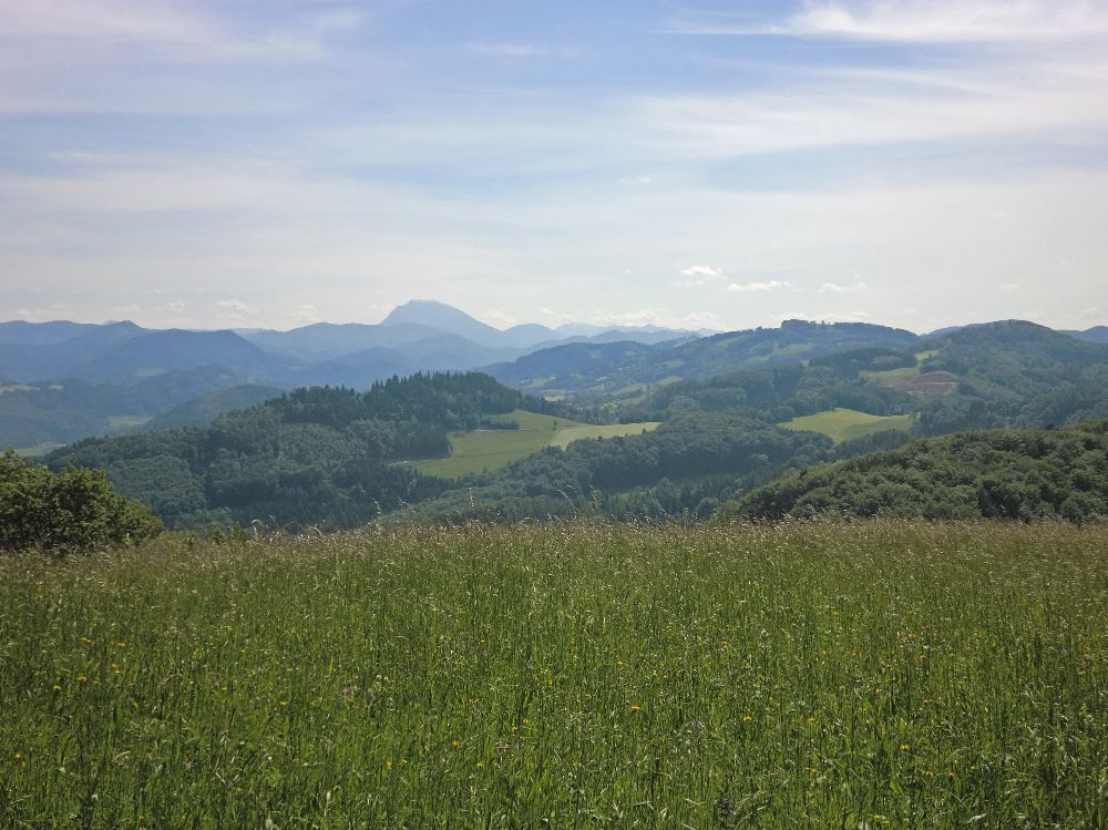 Stierberg (236 Bildaufrufe)