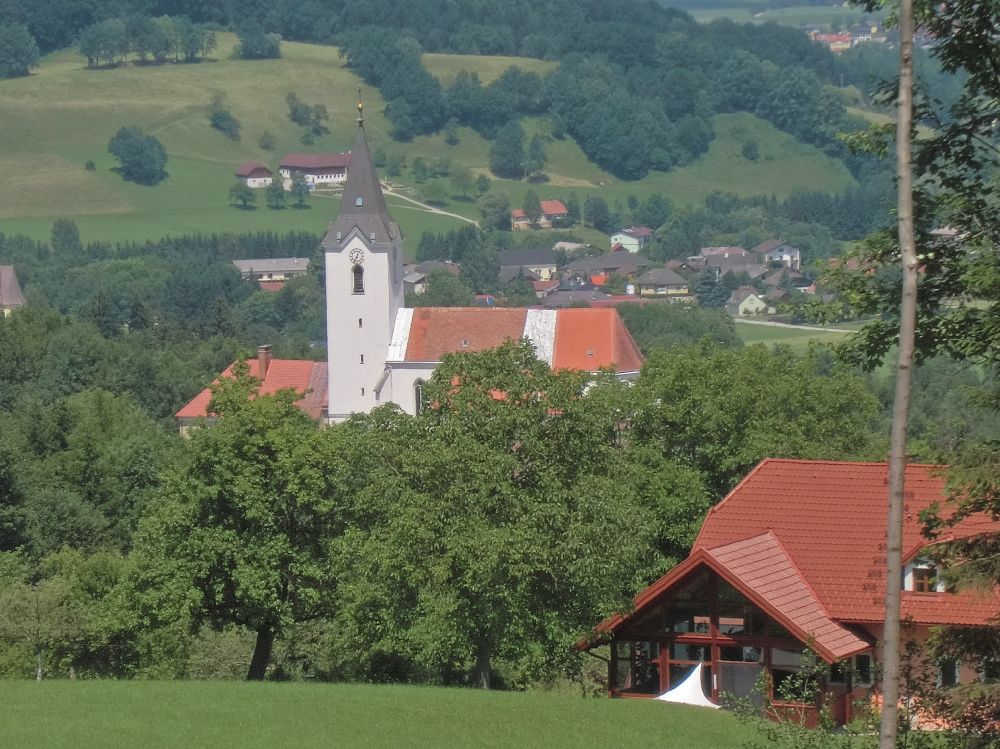 Grüntalkogel (199 Bildaufrufe)