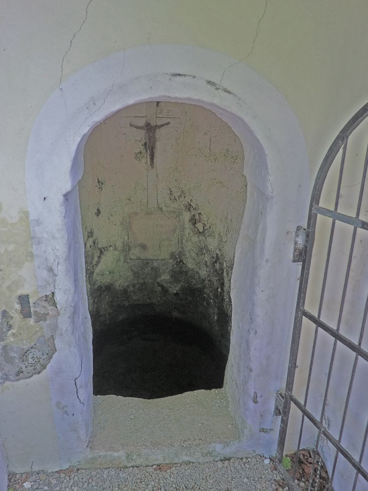 Grüntalkogel (253 Bildaufrufe)