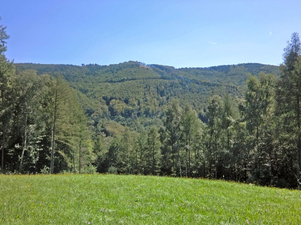 Schöpfl (264 Bildaufrufe)