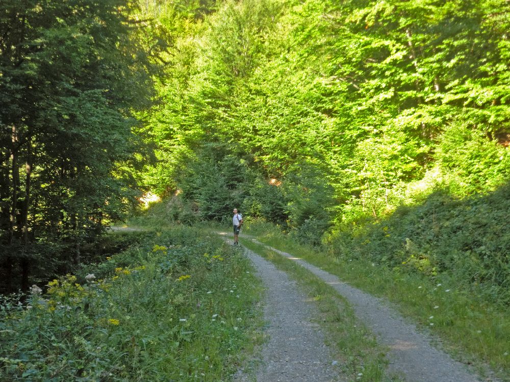Schöpfl (254 Bildaufrufe)