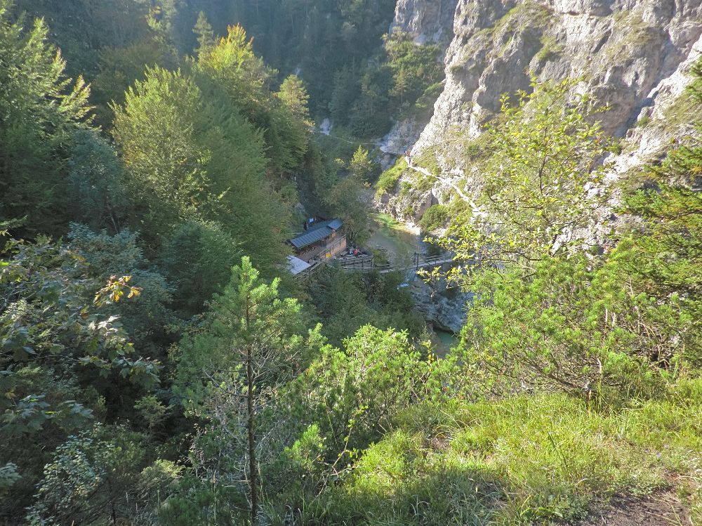 Ötscherhias (252 Bildaufrufe)