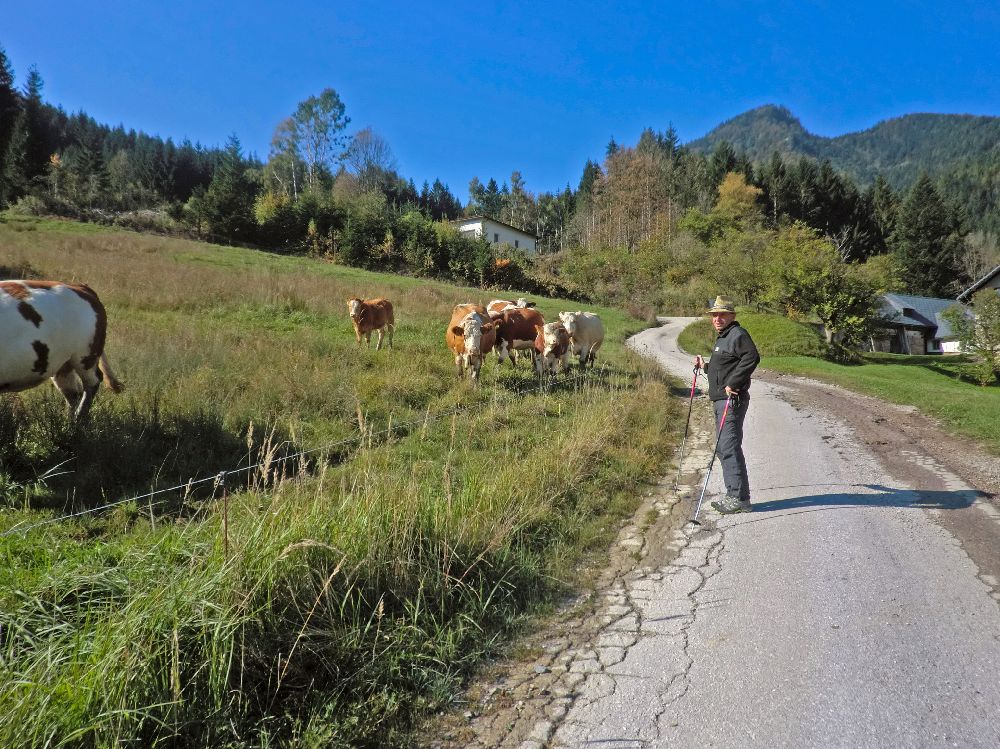 Obersberg (223 Bildaufrufe)
