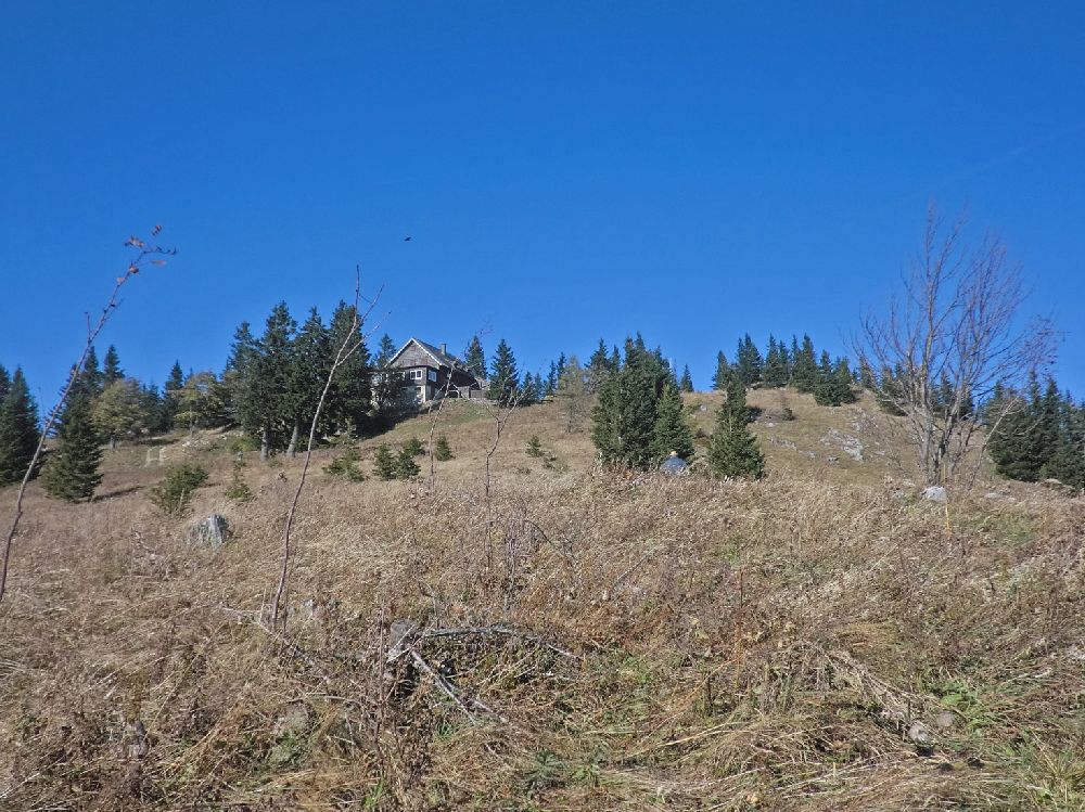 Obersberg (202 Bildaufrufe)