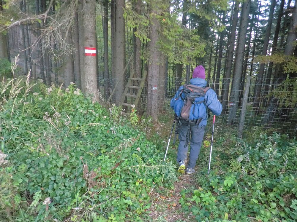 Hohenstein (296 Bildaufrufe)