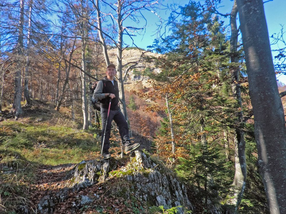 Scheiblingstein (345 Bildaufrufe)