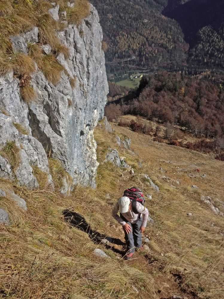 Scheiblingstein (370 Bildaufrufe)